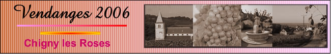 Vendanges 2006