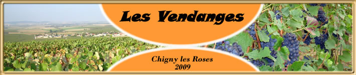 Chigny les Roses - Vendanges 2009