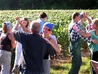 Danse dans les vignes